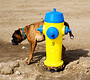 Toileting on equipment fine