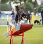 Extra training